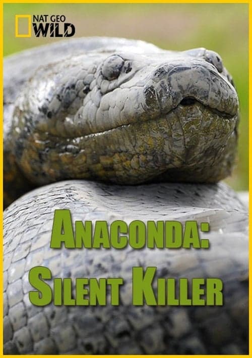 Anaconda: Silent Killer (2014) Movie Poster