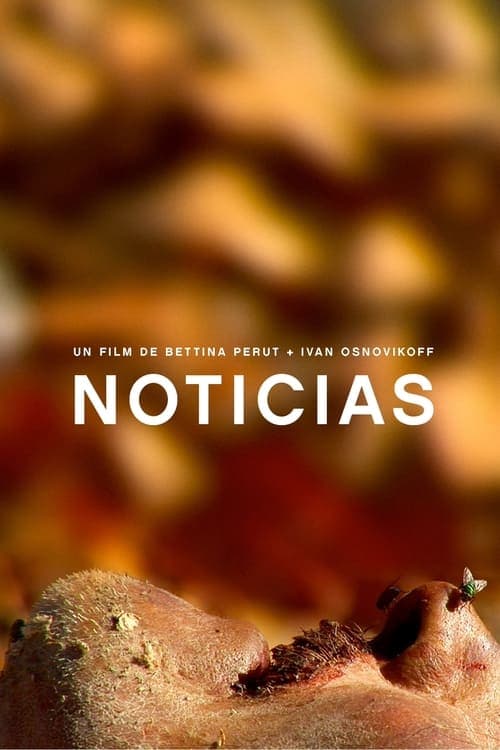 Noticias (2009) Movie Poster