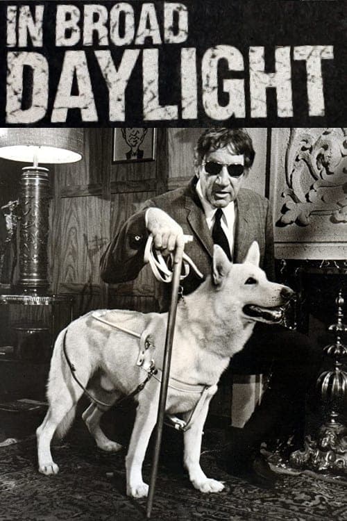 In Broad Daylight (1971) Movie Poster