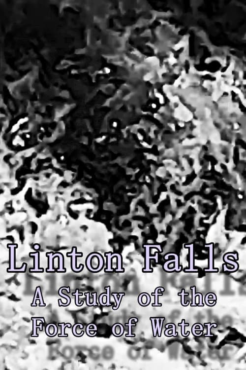 Linton Falls - A Study of the Force of Water (2024) Movie Poster