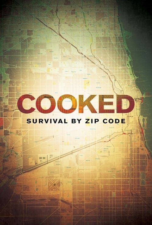 Cooked: Survival by Zip Code (2019) Movie Poster