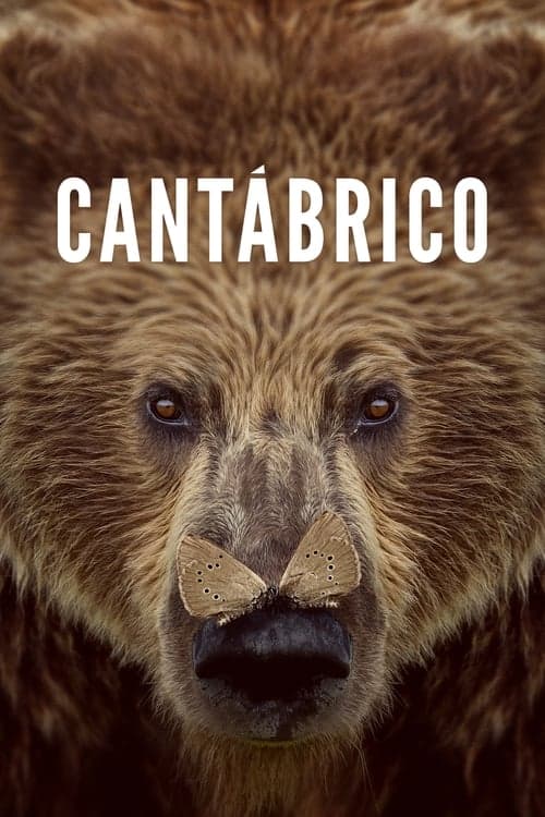 Cantábrico (2017) Movie Poster