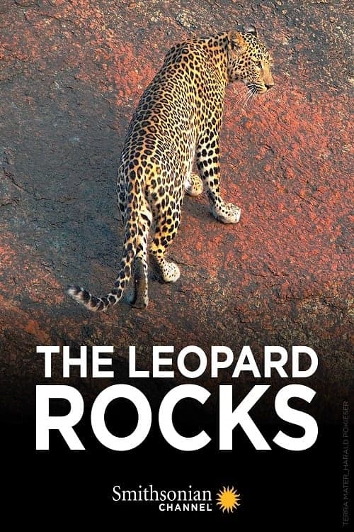 The Leopard Rocks (2018) Movie Poster