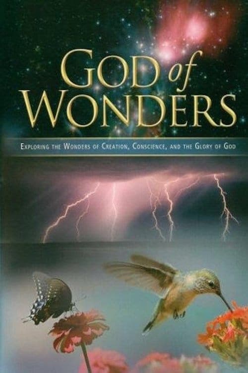 God of Wonders (2008) Movie Poster