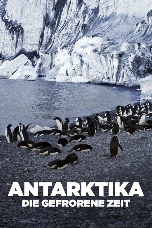 Antarctica: The Frozen Time (2021) Movie Poster