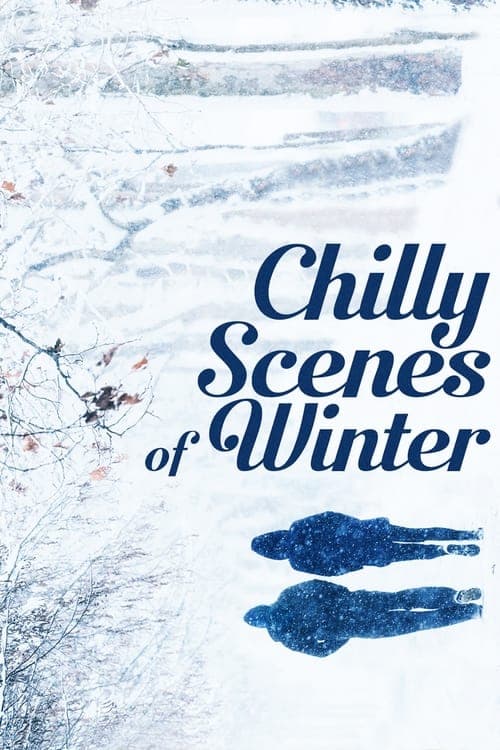 Chilly Scenes of Winter (1979) Movie Poster