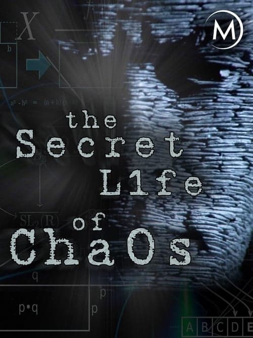 The Secret Life of Chaos (2010) Movie Poster