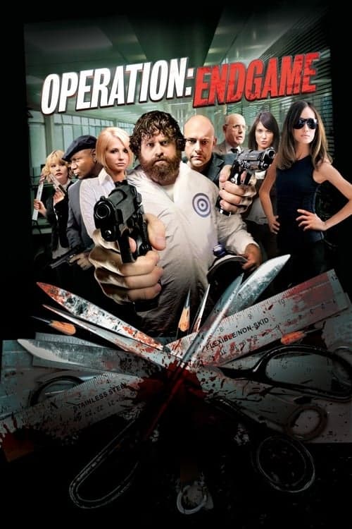 Operation: Endgame (2010) Movie Poster