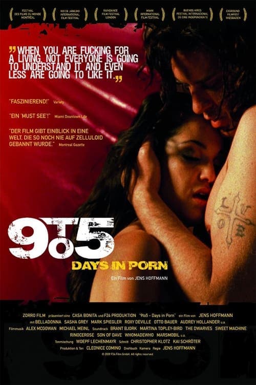 9to5: Days in Porn (2008) Movie Poster