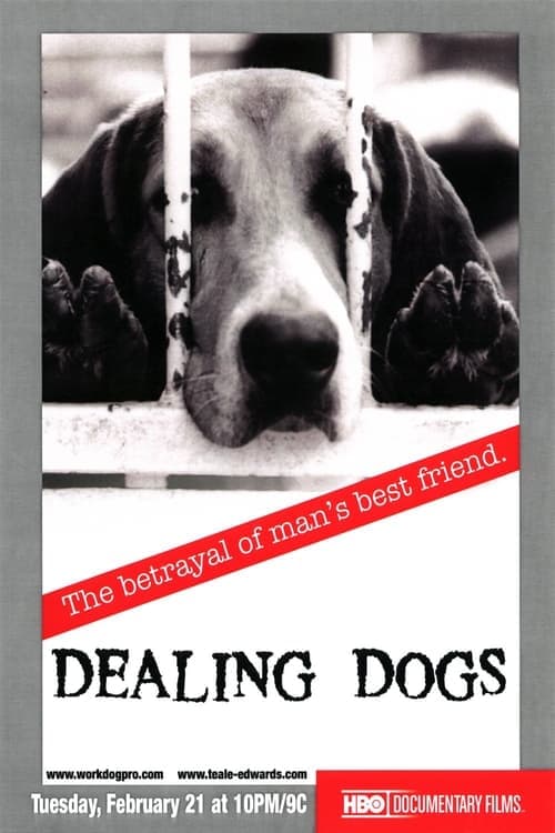 Dealing Dogs