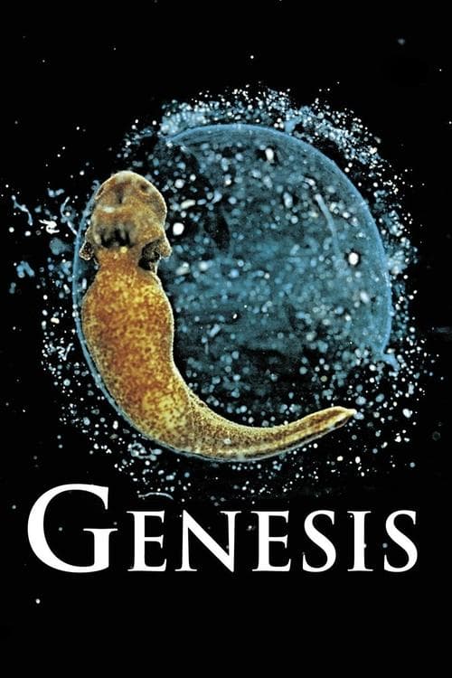 Genesis (2004) Movie Poster