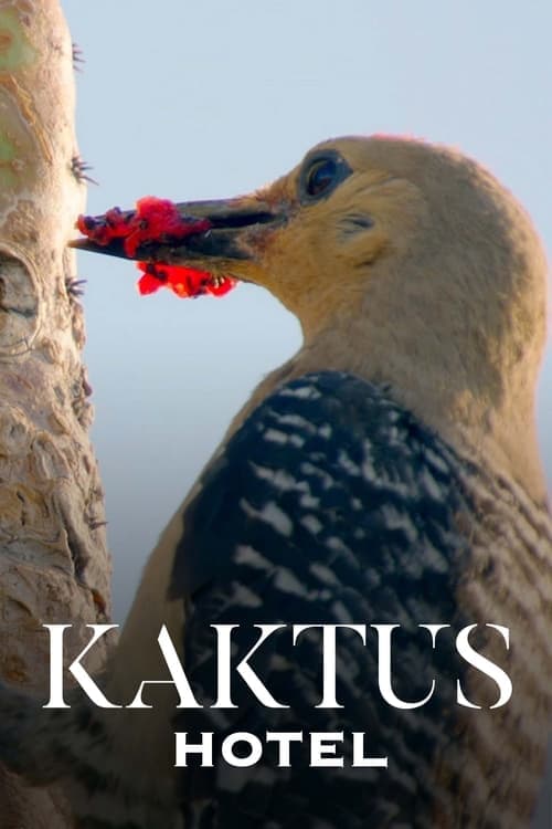 Kaktus Hotel (2023) Movie Poster