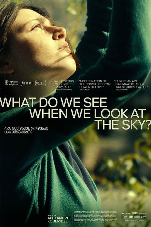 What Do We See When We Look at the Sky? (2021) Movie Poster