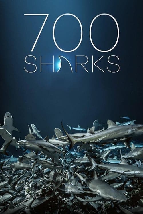 700 Sharks