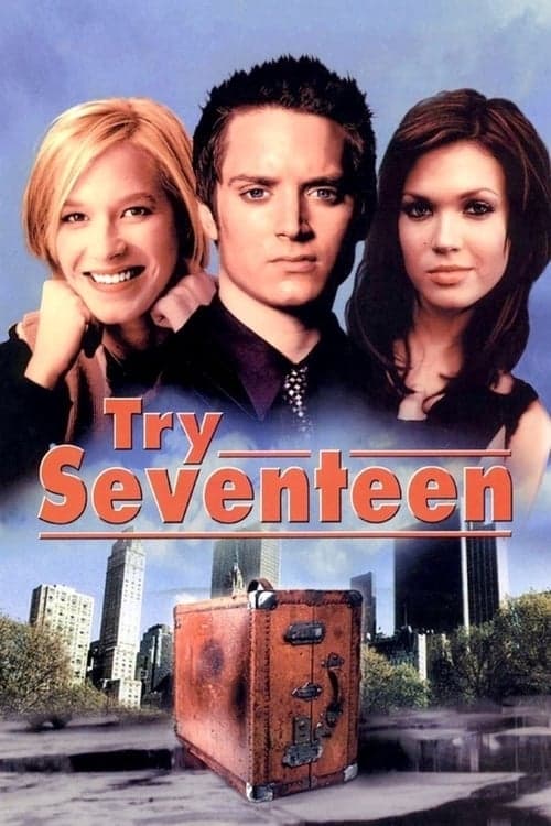 Try Seventeen (2002) Movie Poster