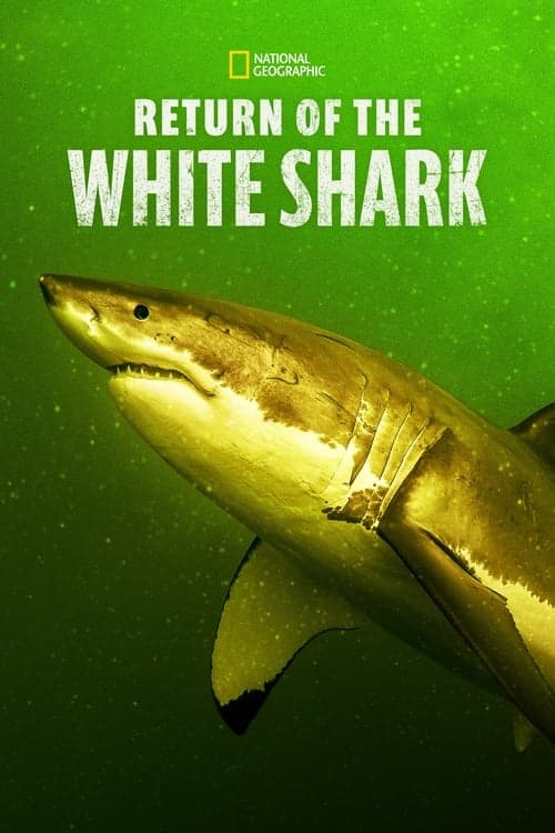 Return of the White Shark (2023) Movie Poster