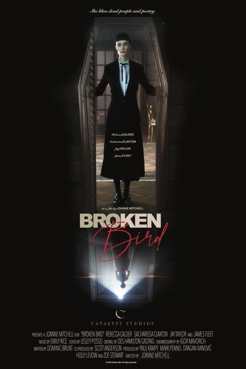 Broken Bird (2024) Movie Poster