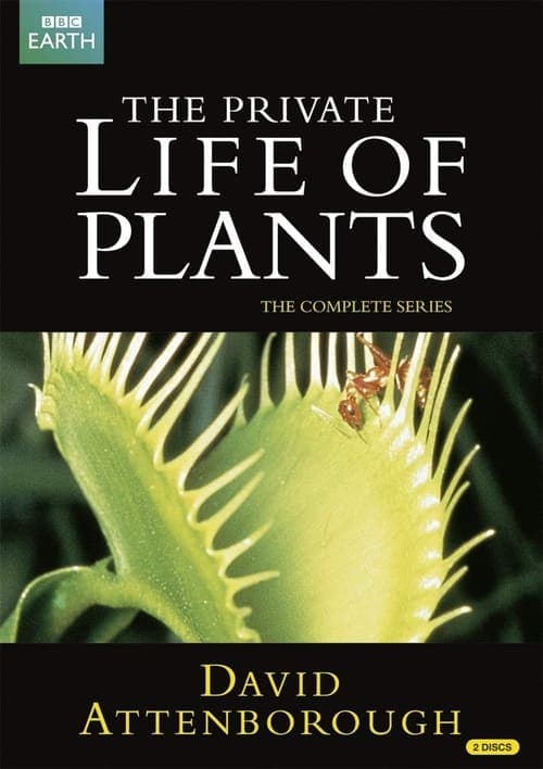 The Private Life of Plants