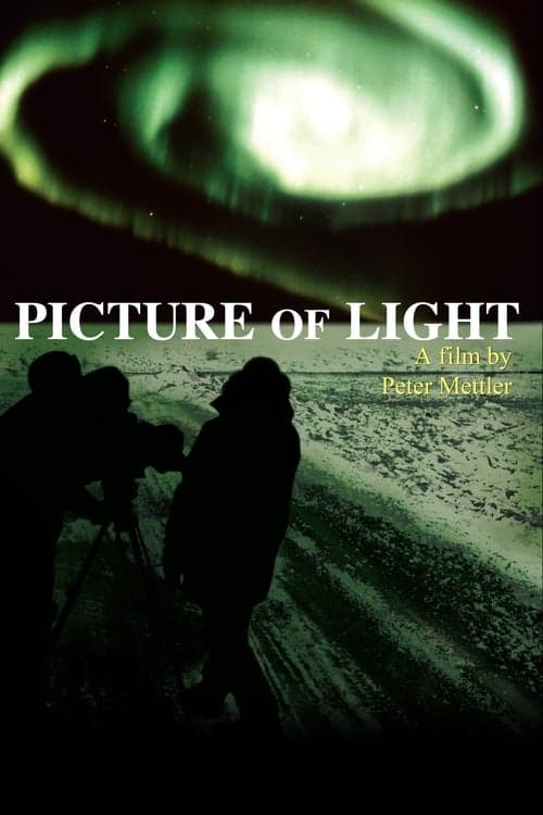 Picture of Light (1994) Movie Poster