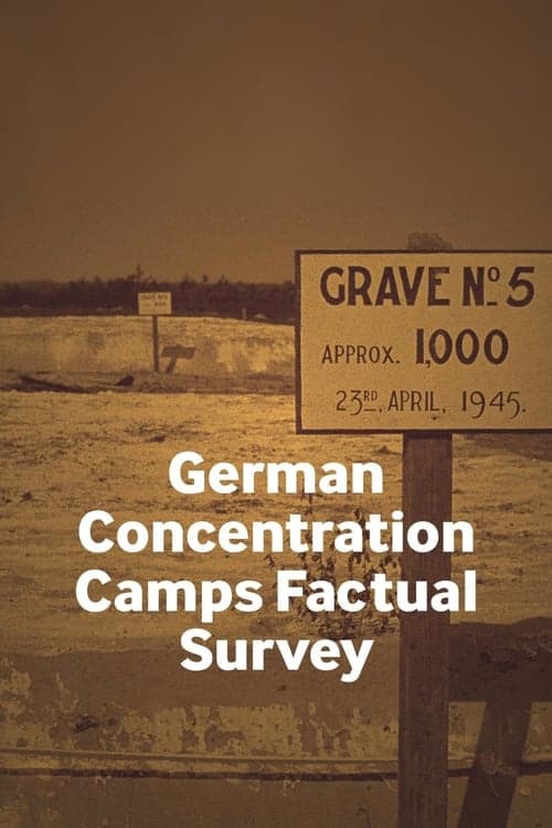 German Concentration Camps Factual Survey (2017) Movie Poster