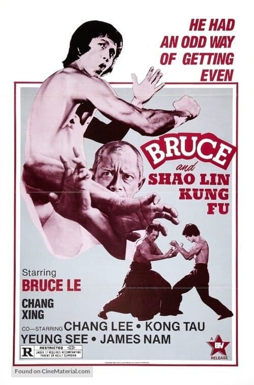 Bruce and Shaolin Kung Fu (1977) Movie Poster