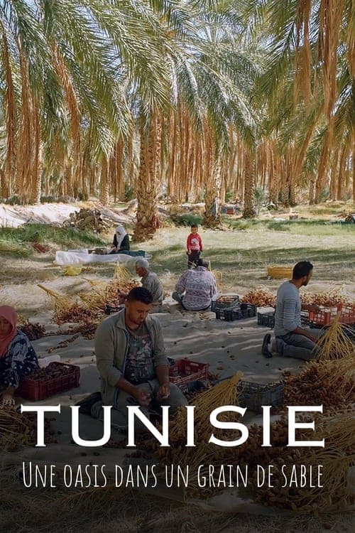 Tunisie : Une oasis dans un grain de sable (2024) Movie Poster