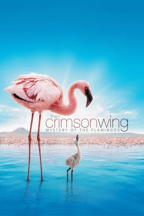 The Crimson Wing: Mystery of the Flamingos (2008) Movie Poster